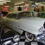 SanAntonio_0063 (June 11, 2016)